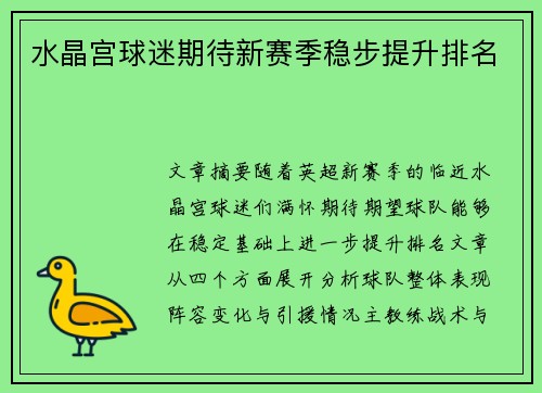 水晶宫球迷期待新赛季稳步提升排名
